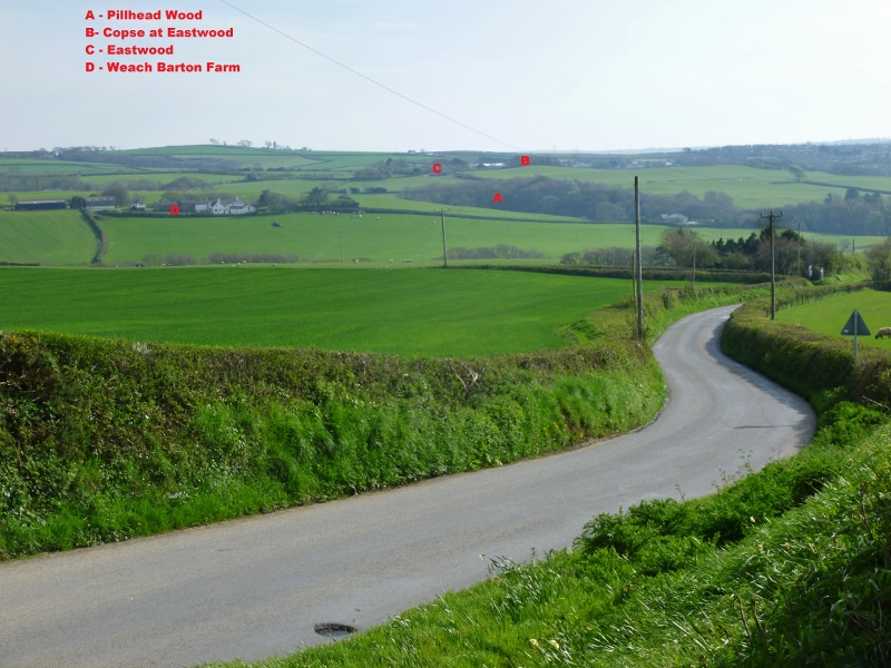 Bideford (East The Water) Patrol British Resistance Archive